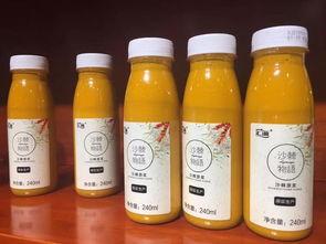汇源沙棘果汁饮料新疆总代理 引领健康饮品新风尚